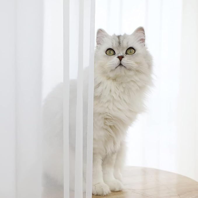 Window White Sheer Curtains 60 Inches Width 63 Inches Long 2 Panels Sheer Curtains Clear Curtains Basic Rod Pocket Panel for Home/Living Room/Bedroom/Kids Room