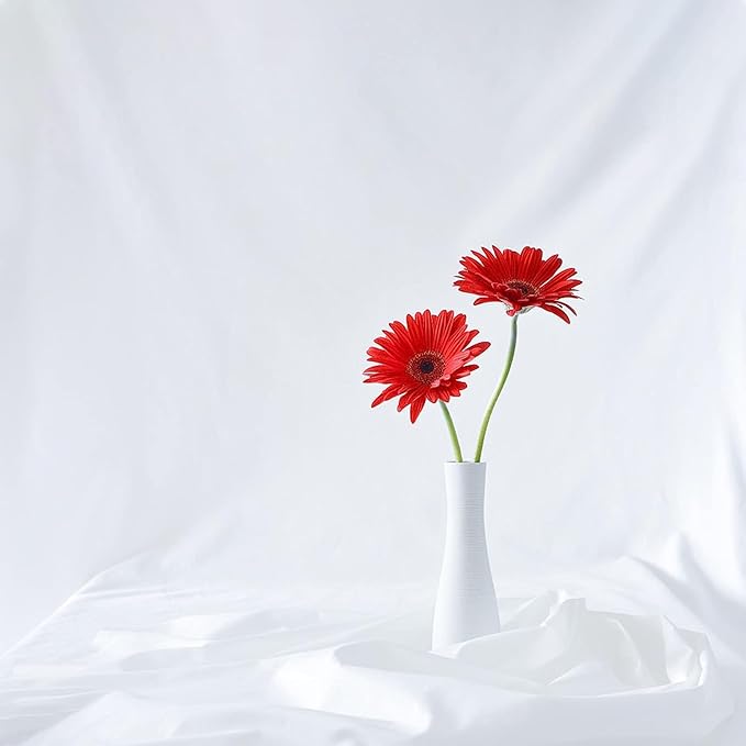 7 x 10 FT White Backdrop, 100% Polyester Photography Backdrop Foldable Washable White Screen for Photoshoot YouTube Zoom Studio Photo Video Recording