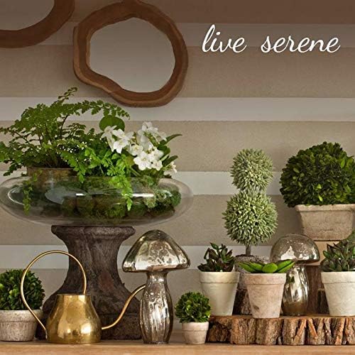 Serene Spaces Living 3.75in Smoke Ribbed Glass Votive Holder, Decorative Centerpiece for Wedding, Christmas, Thanksgiving, Dining Table, Home Décor, 2.25" Diameter & 3.75" Tall, Pack of 32