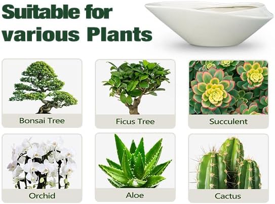 Bonsai Planter Pot - 12 Inch Ceramic Plant Pot for Indoor Plants Outdoor Decorative Flower Pot Succulent Planter with Drainage Hole Gray