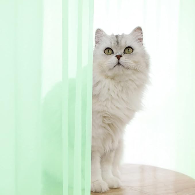 Window Light Green Sheer Curtains 145 Inches Long 2 Panels Sheer Curtain Basic Rod Pocket Panel for Bedroom Children Living Room Yard Kitchen (Light Green, 52" W x 145" L | 2 pcs)