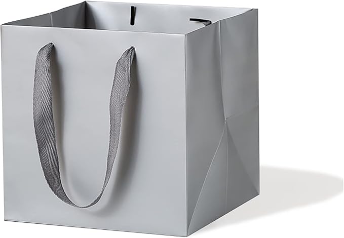 Silver Gray Paper Gift Bag 10 in Paper Gift Box Large Square Bottom Kraft Paper Bags with Handles for Wedding Baby Shower Birthday Party (Silver Grey, 10 x 10 x 10 in, 10 CT)