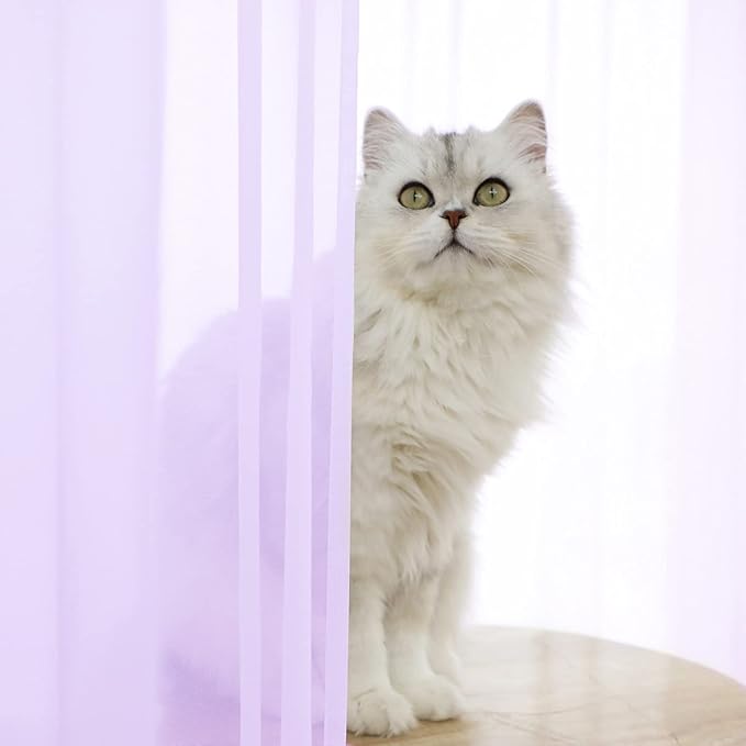 Purple Sheer Curtains 60 Inches Width 72 Inches Long 2 Panels Clear Basic Rod Pocket Panel for Home Living Room Bedroom Kids Room Yard Patio Parlor Sliding Window