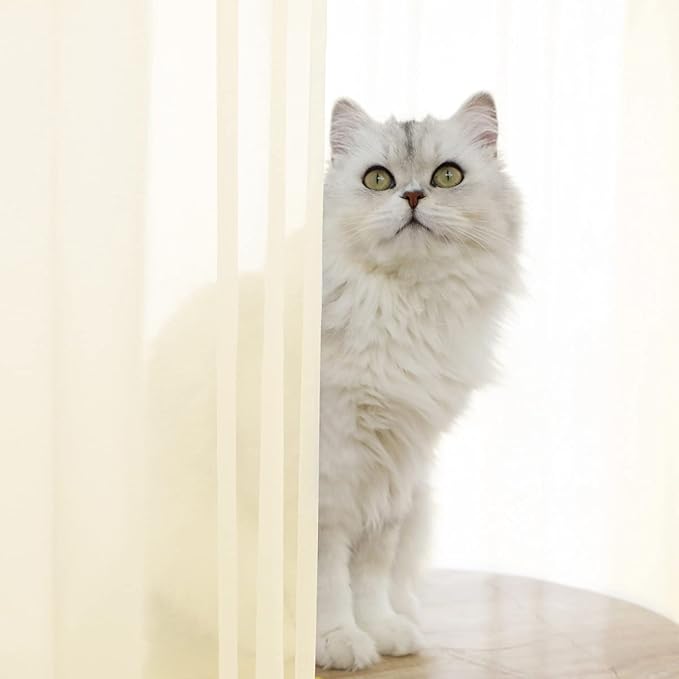 Window Light Yellow Sheer Curtains 60 Inches Width 120 Inches Long 2 Panels Sheer Curtain Clear Curtains Basic Rod Pocket Panel for Home Living Room Bedroom Kids Room Yard Patio Parlor Sliding