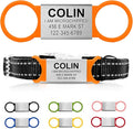 Personalized Dog & Cat ID - Engraved Dog Name Tag - Silent, No Noise - Slide On Custom Collar Tags for Small, Medium & Large Pets