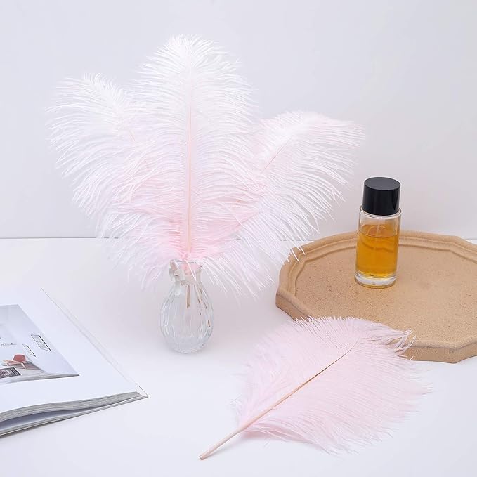 24pcs Natural Light Pink Ostrich Feathers 10-12inch (25-30cm) for Wedding Party Centerpieces，Flower Arrangement and Home Decoration.