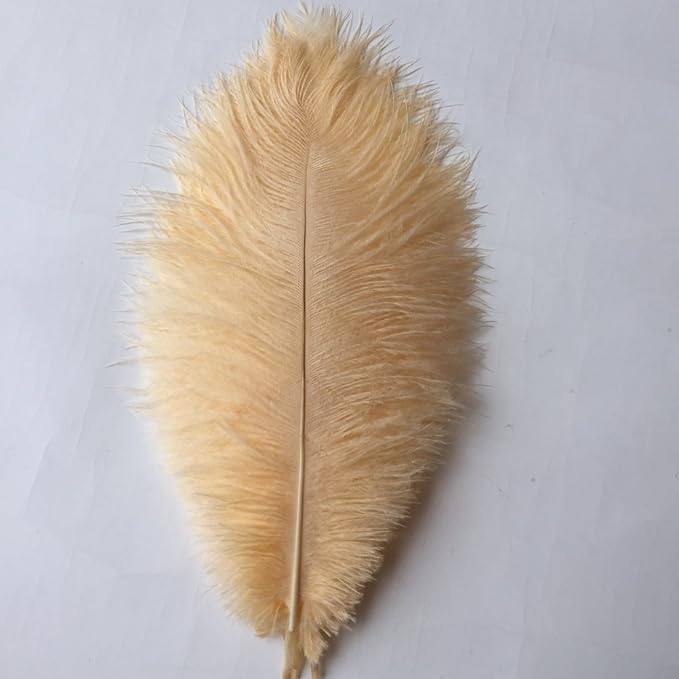 Sowder 8-10inch(20-25cm) Ostrich Feathers Plume for Wedding Centerpieces Home Decoration Pack of 10pcs(Champagne)