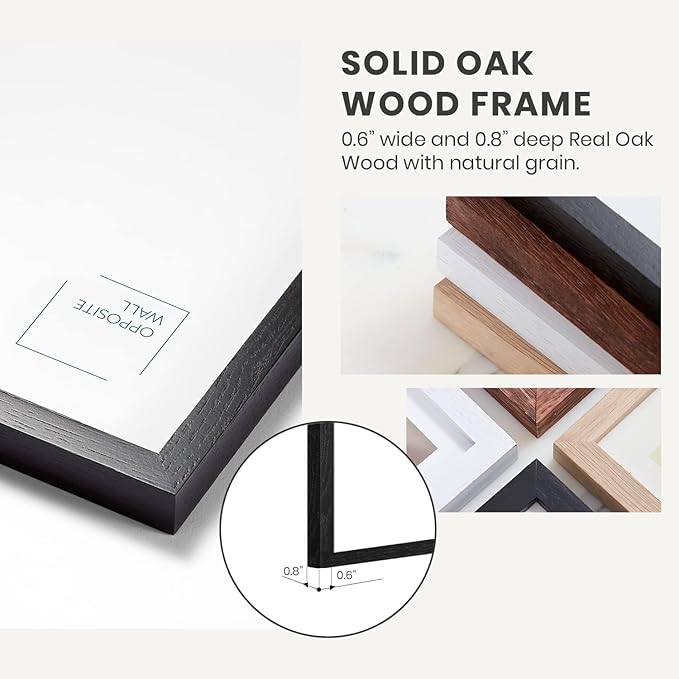 Opposite Wall - 50x70 cm - Black Oak Wood Picture Frame - Lightweight, Versatile & Shatterproof - Wall Hanging Photo or Poster Frame - 19 3/4 x 27 1/2 in - 2 Pack