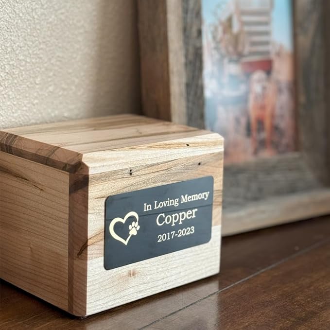 Custom Engraved Name Plates with Adhesive, Made in The USA, Peronalized Pet Urn, Memorial Plaque, Picture Frame, Art Tag, Flag case (Black Plate/Silver Text, 2x4 Inch)