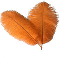 Sowder 10-12inch(25-30cm) Ostrich Feathers Plume for Wedding Centerpieces Home Decoration Pack of 10pcs(Orange)