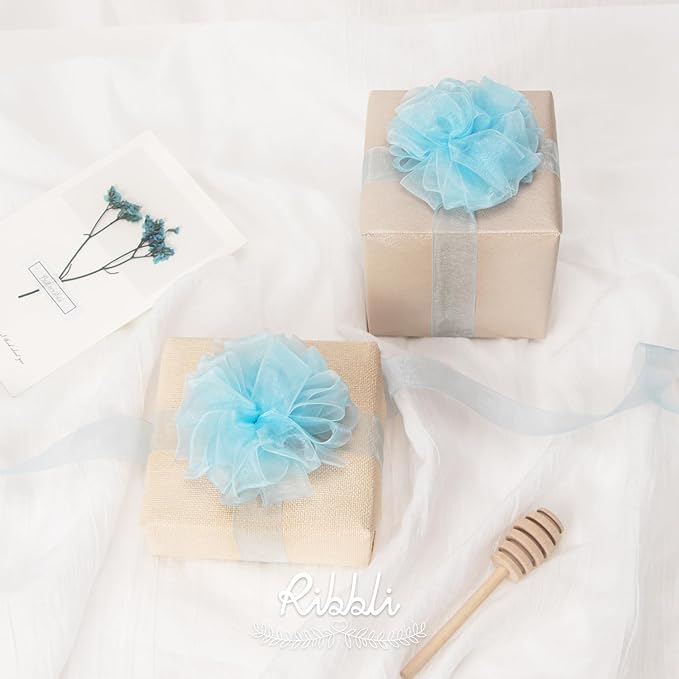 Ribbli Light Blue Organza Ribbon,1 Inches x Continuous 50 Yard,Light Blue Sheer Ribbon for Gift Wrapping,Cookie Wrapping,Wedding Decoration,All Crafting and Sewing