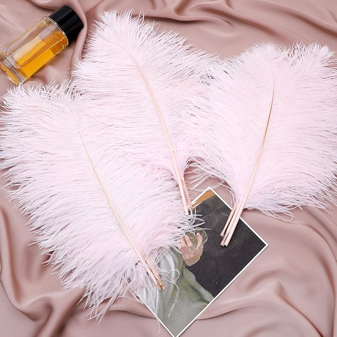 24pcs Natural Light Pink Ostrich Feathers 10-12inch (25-30cm) for Wedding Party Centerpieces，Flower Arrangement and Home Decoration.