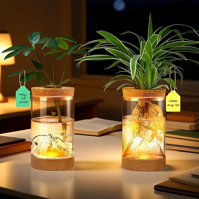 2Pcs Plant Propagation Station with Mountain-Shaped Bottom - Hydroponic Glass Vases, Wooden Base with Lighting, Terrarium Jars for Indoor Growing, Desktop Vivarium, Ideal Gifts for Plant Lovers