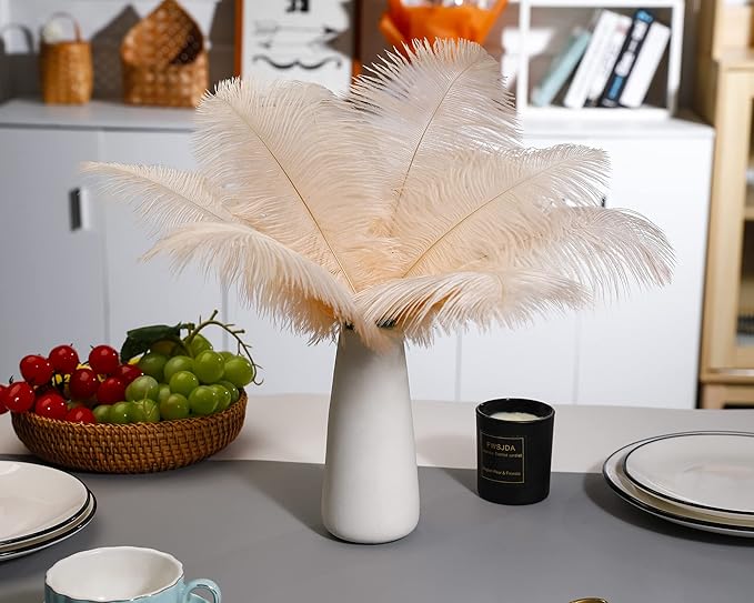 Ballinger Light Salmon Ostrich Feathers - 24pcs 8-10inch Feathers for Crafts，Wedding Party Centerpieces and Home Decor