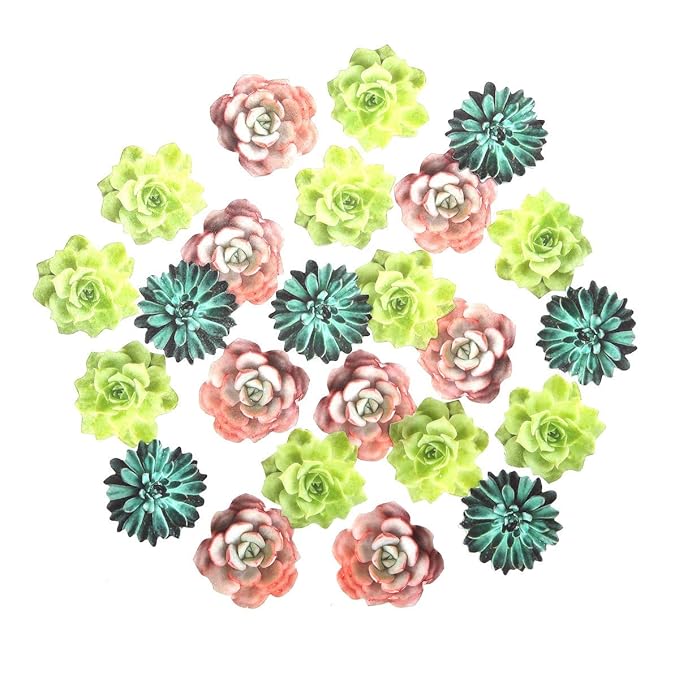 24pcs Edible Cupcake toppers Succulents Hawaiian Party Cake Summer Decoration,Not 3D …