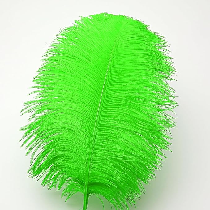Ballinger Lime Green Ostrich Feathers - 24Pcs 10-12inch Large Green Ostrich Feathers for Vase,Wedding Party Centerpieces and Holiday Home Decor