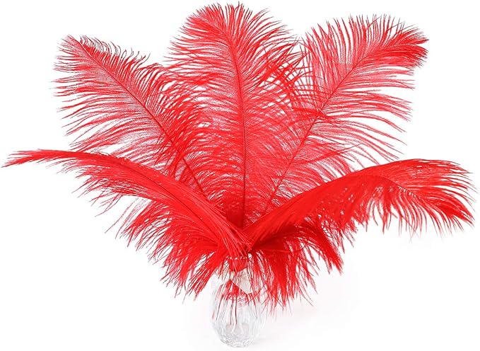 12pcs Natural Bright Red Ostrich Feathers 12-14inch (30-35cm) for Wedding Party Centerpieces，Flower Arrangement and Home Decoration.