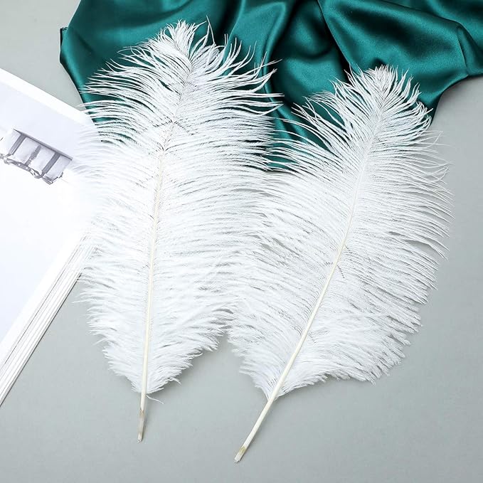 12pcs Natural White Ostrich Feathers 12-14inch (30-35cm) for Wedding Party Centerpieces，Flower Arrangement and Home Decoration.