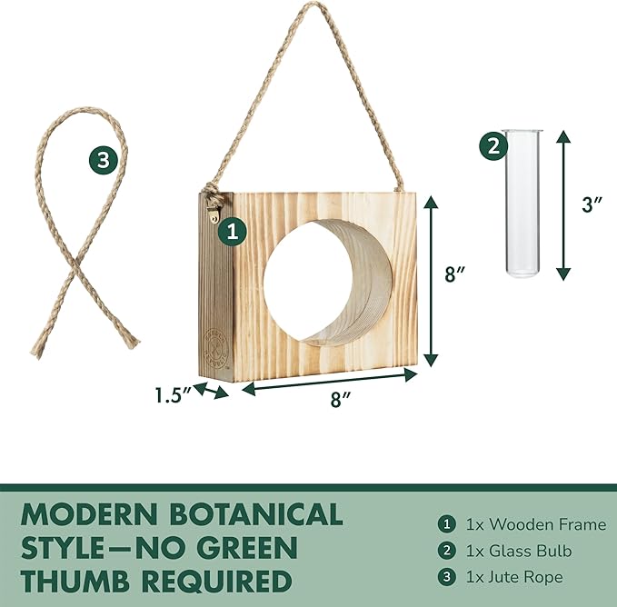 · GARDEN REPUBLIC · Propagation Stations Set of 2 - Propagation Vases for Plants - Hanging Wooden Wall Planter and Glass Test Tubes - Indoor Plant Holder, Hydroponic Decor