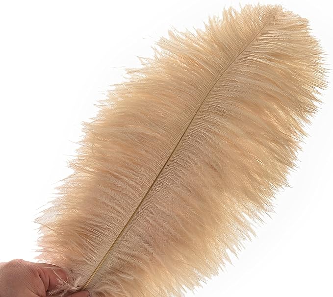 Ballinger Champagne Ostrich Feathers Bulk - 24pcs 10-12inch Boho Feathers for vase and Home Decor Wedding Party Centerpieces