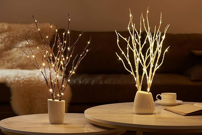 Hairui Lighted Birch Branches 18IN 70 White Willow LED Battery Operated with Timer Twig Lights for Summer Christmas Wedding Decoration Indoor Outdoor(Vase Excluded)