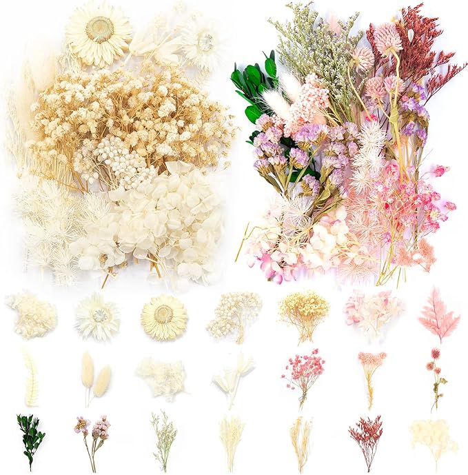 Vignee Real Dried Pressed Leaf Flowers-Multiple Colorful Pressed Flowers Daisies for Craft Resin Jewelry Making Art Craft DIY（White&Light Pink）