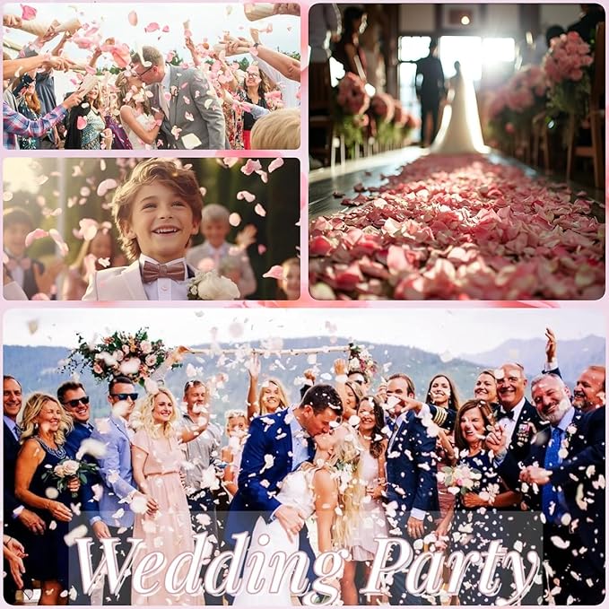 300 PCS Real Pink Dried Rose Petals Confetti for Wedding, 2.82oz Freeze Rose Petals for Romantic Wedding Valentine's Day Proposal Decor, Dinner Table Centerpieces Party