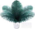 SOGUGOM Green Craft Ostrich Feathers - 30PCS 6-8 inch Bulk Ostrich Feathers Kit for Centerpieces, Kindergarten Crafts, Hats and Mardi Gras(Dark Green)