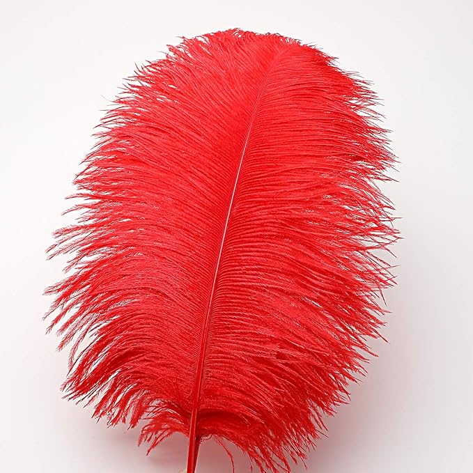 Ballinger Red Large Ostrich Feathers - 12Pcs 14-16inch Large Feathers for Vase,Wedding Party Centerpieces and Home Decor