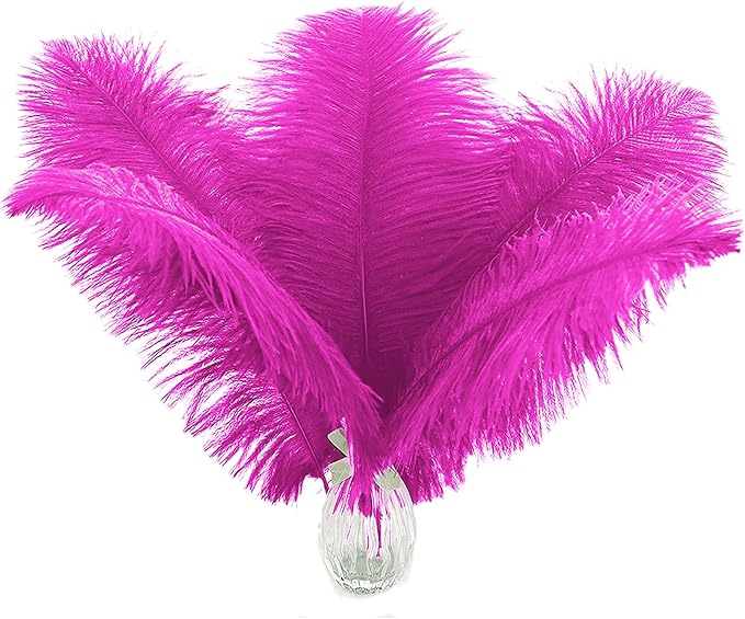 Ballinger Fuchsia Large Ostrich Feathers - 12Pcs 14-16inch Large Feathers for Vase,Theme Party Centerpieces and Holiday Home Decor