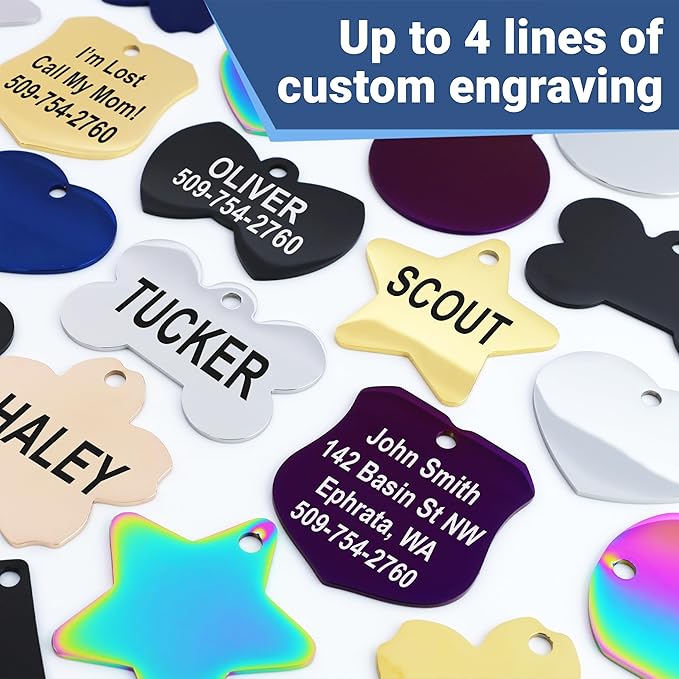GoTags Stainless Steel Pet ID Tags, Personalized Dog Tags and Cat Tags, up to 8 Lines of Custom Text, Engraved on Both Sides, in Bone, Round, Heart, Bowtie and More (Heart, Regular (Pack of 1))