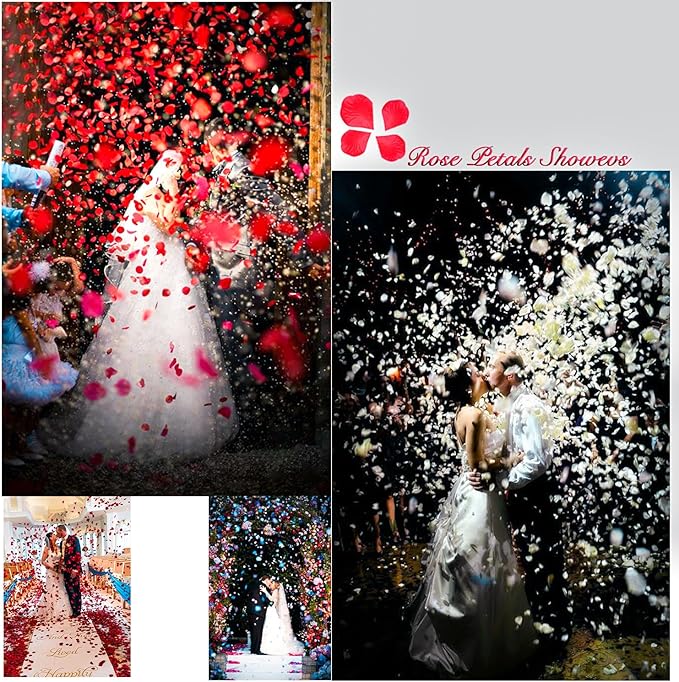 2000 Pcs Silk Red Rose Petals, Artificial Flower Petals for Romantic, Classic Style, Wedding, Proposal, Anniversary Decorations
