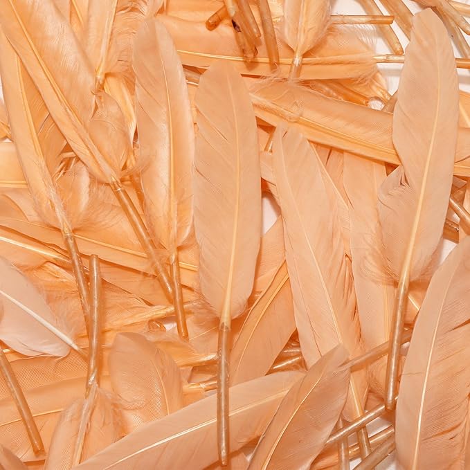FeelfunFeather 120pcs Champagne Goose Cochettes Feather Natural Bulk 4-6 inch 10-15cm for Wedding Party Christmas Decorations DIY Crafts Goose Cochettes Feather