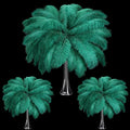 Maitys 90 Pcs Large Natural Ostrich Feathers Bulk 14-16 Inch (35-40cm) 12-14 Inch (30-35cm) 10-12 Inch (25-30cm) Ostrich Feathers Plumes for Centerpieces Wedding (Blackish Green)