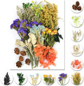 Vignee Real Dried Pressed Leaf Flowers-Multiple Colorful Pressed Flowers Daisies for Craft Resin Jewelry Making Art Craft DIY（Violet+Green）