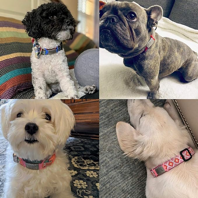 Personalized Dog Name Tag - No Noise - Engraved - Slide On Cat ID - Custom Collar Tags for Small, Medium, Large Dogs and Cats - Silent Puppy Identification