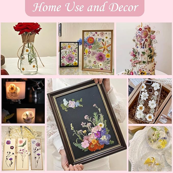 100 Pcs Dried Pressed Flowers for Crafts, Preserved & Dehydrated in Pink/Purple/Blue for Resin Art, Jewelry, Candle/Soap Making - Tweezers Included