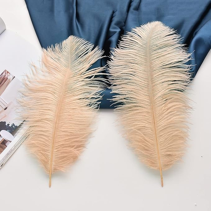 Ballinger Large Champagne Ostrich Feathers - 24pcs 8-10inch Boho Feathers for vase and Home Decor Wedding Party Centerpieces