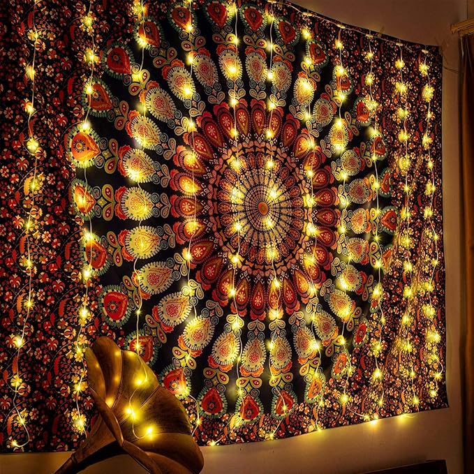 Curtain Window String Lights 6.5 x 5 Feet LED Copper Tapestry Backdrop Twinkle Fairy Lights Battery Operated 8 Modes Lights Remote Control USB Powered Light Above Bed for Wedding Party